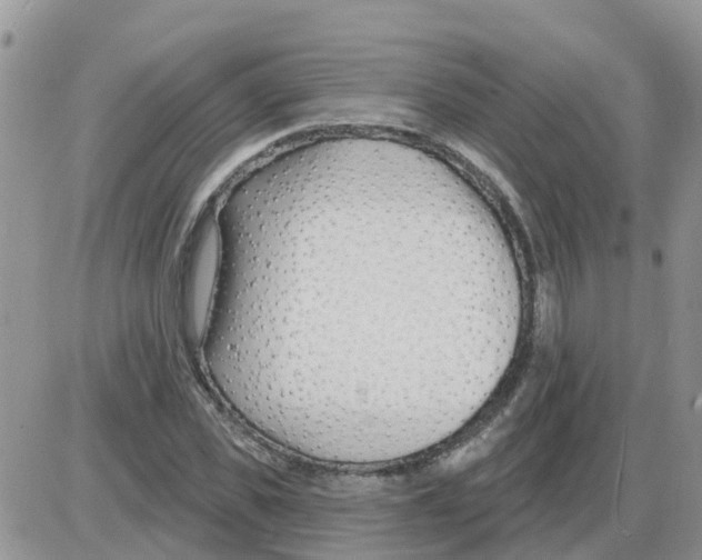 X0000086050925200704202032