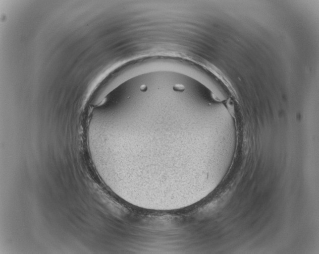 X0000086050926200704202032