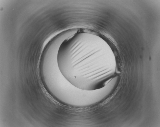 X0000086050928200704202032