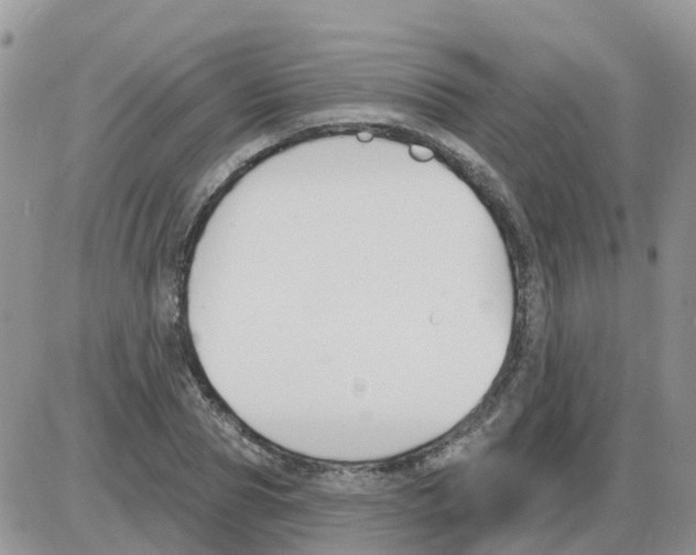 X0000086050929200704202032