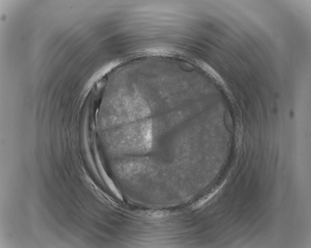 X0000086050930200704202032