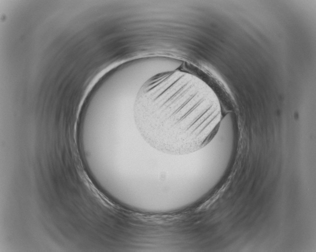 X0000086050932200704202032