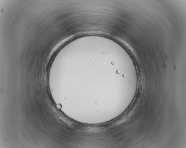 X0000086050933200704202032