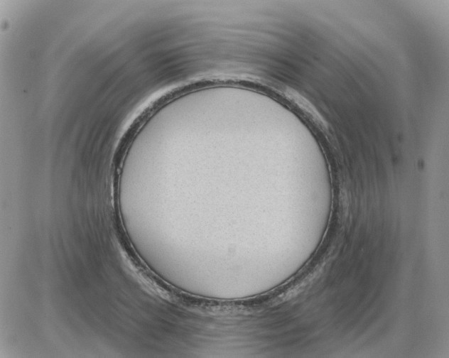 X0000086050934200704202032