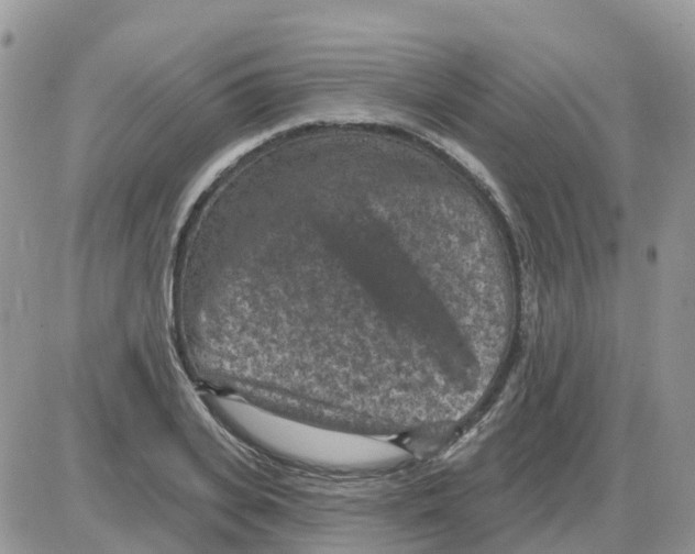 X0000086050935200704202032