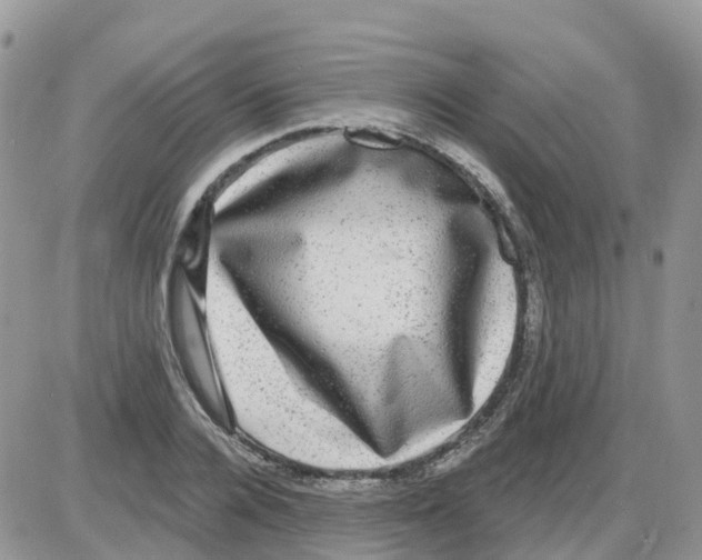 X0000086050936200704202032