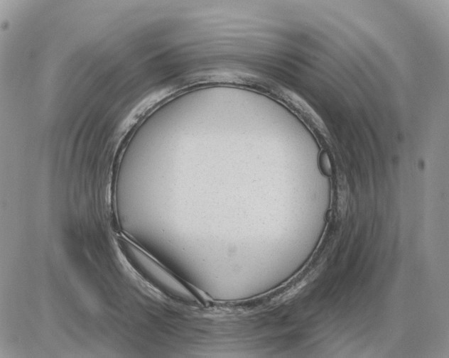 X0000086050938200704202032