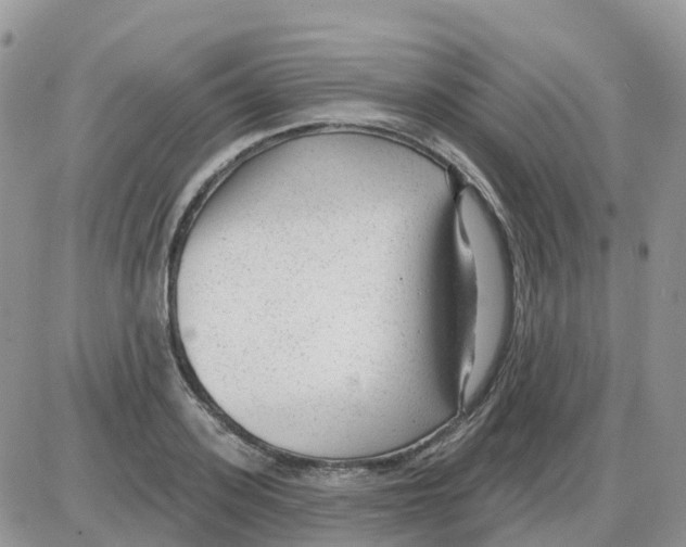 X0000086050939200704202032