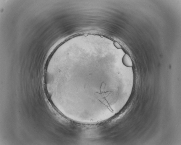 X0000086050941200704202032