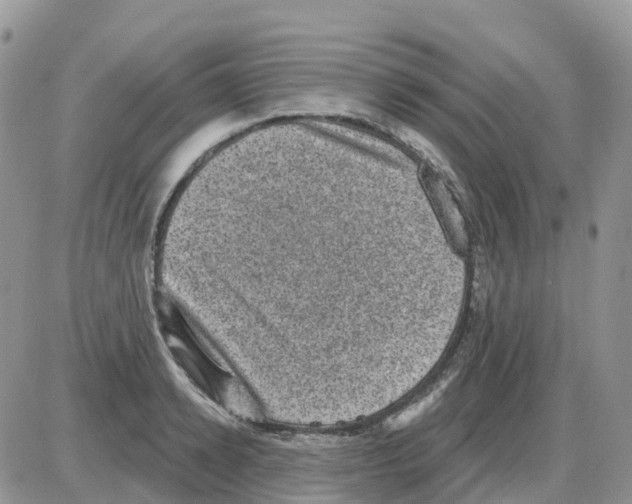 X0000086050942200704202032