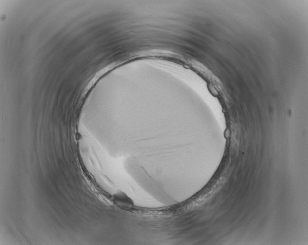 X0000086050945200704202032