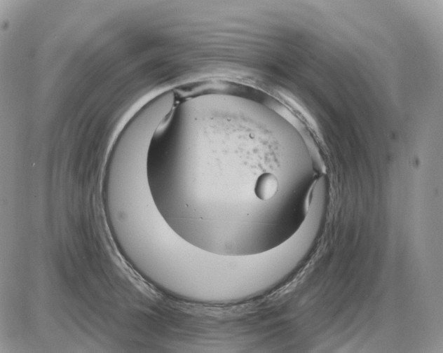 X0000086050948200704202032