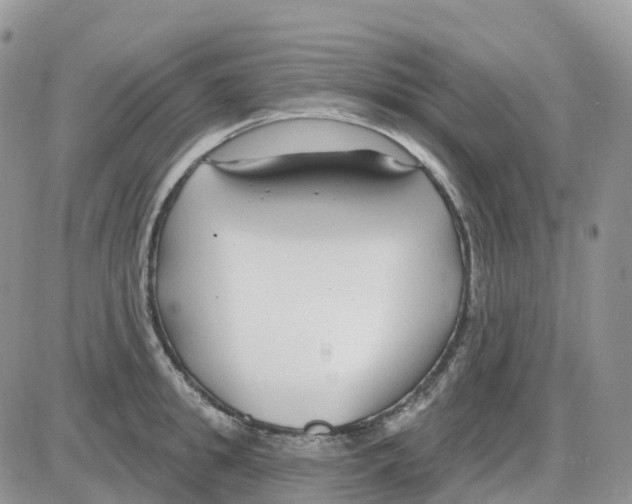 X0000086050949200704202032