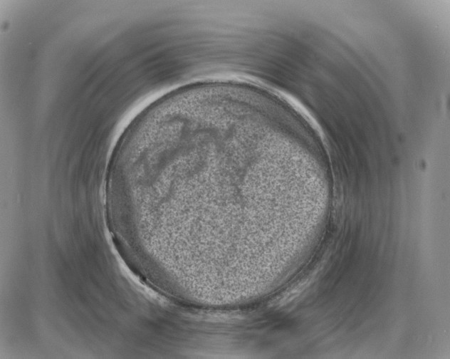 X0000086050951200704202032