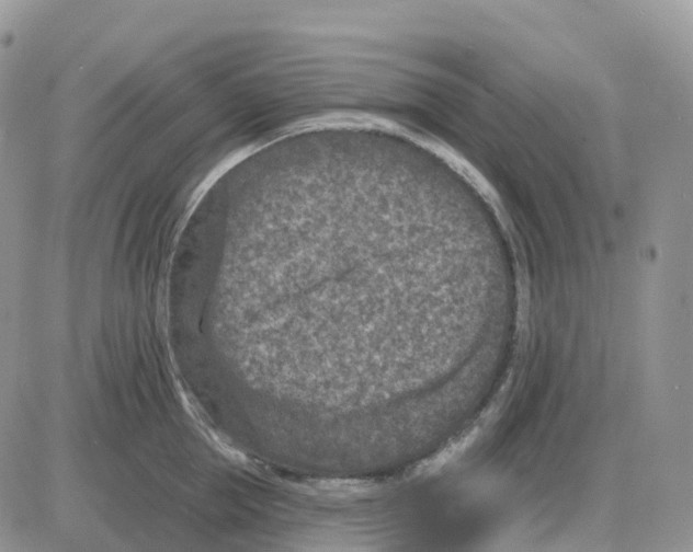 X0000086050953200704202033