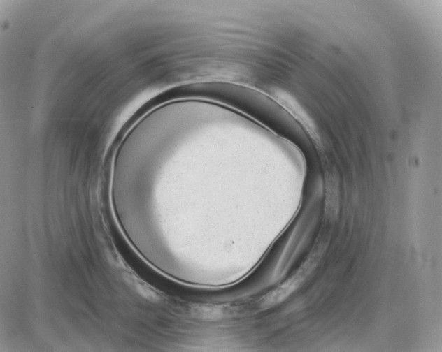 X0000086050956200704202033