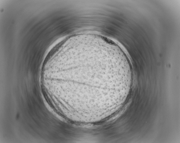 X0000086050957200704202033