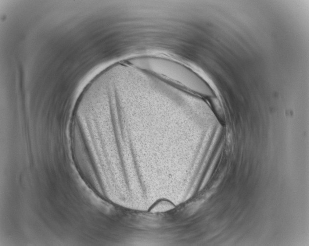 X0000086050959200704202033