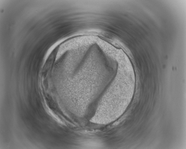 X0000086050960200704202033