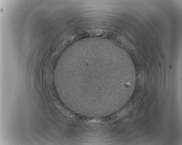 X0000086050961200704202032