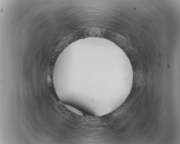 X0000086050962200704202032