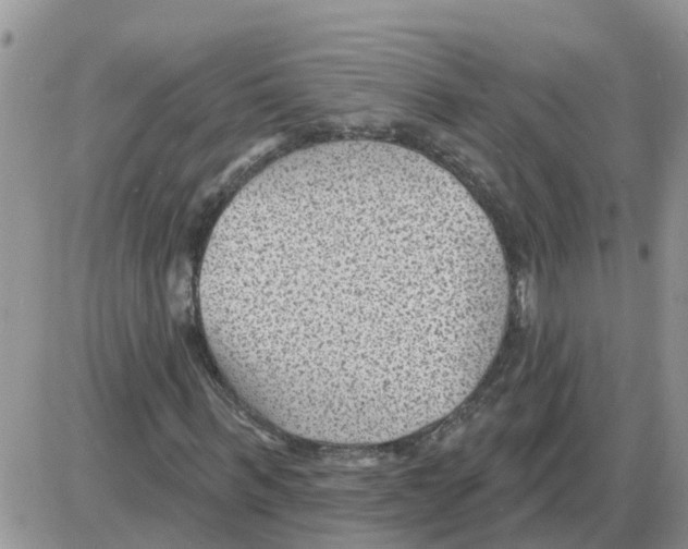 X0000086050963200704202032