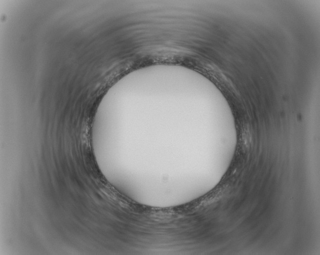 X0000086050964200704202032