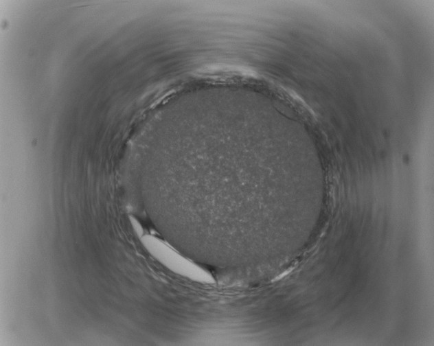 X0000086050965200704202032