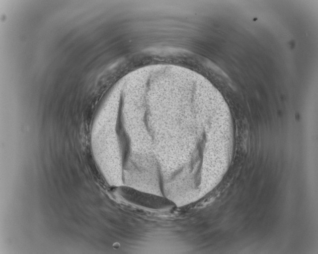 X0000086050966200704202032