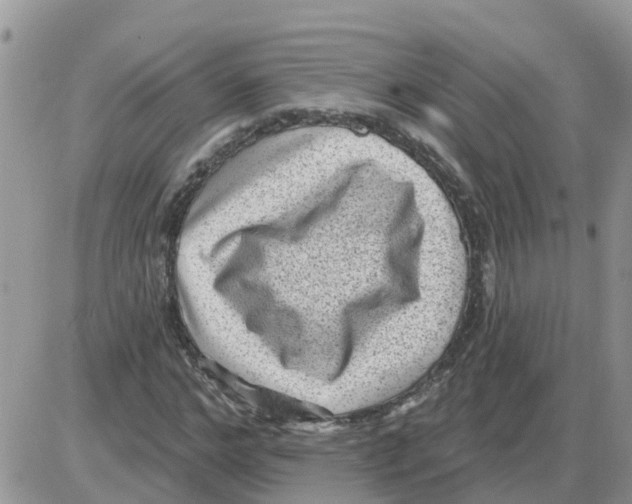 X0000086050968200704202032