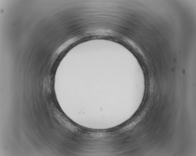 X0000086050970200704202032