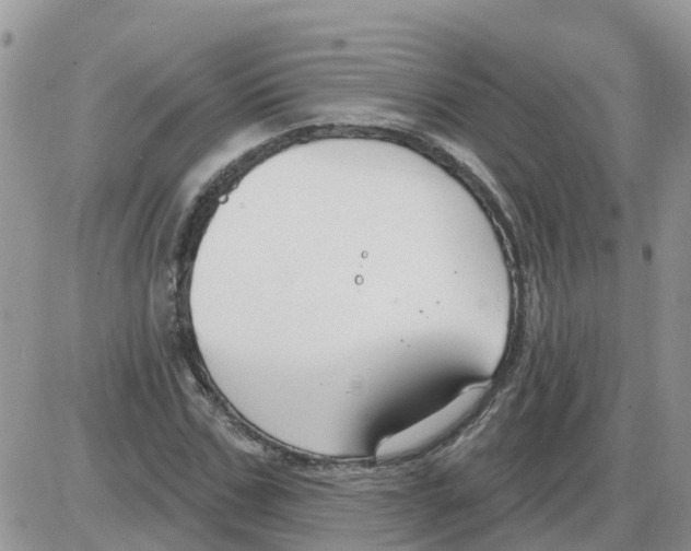 X0000086050971200704202032