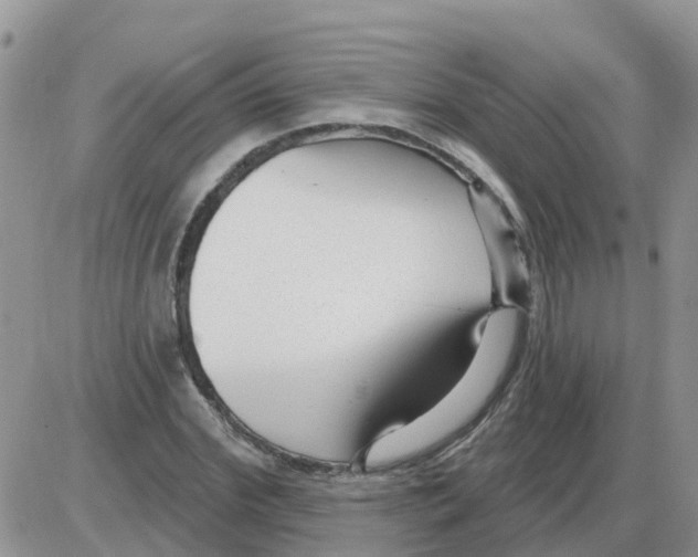 X0000086050972200704202032