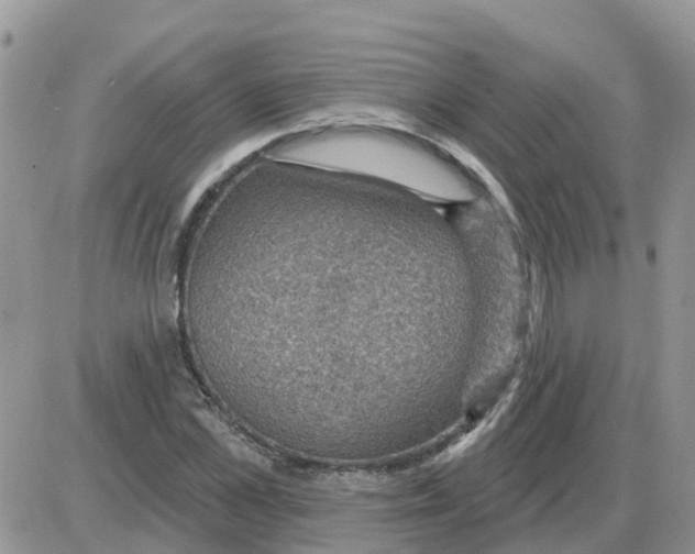 X0000086050973200704202032