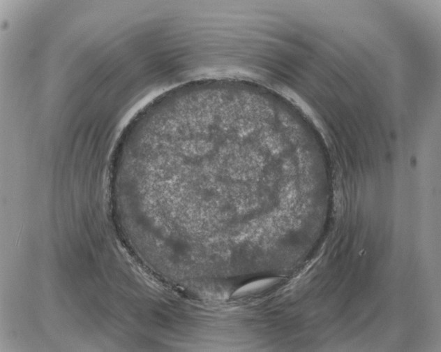 X0000086050975200704202032