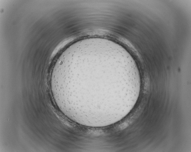 X0000086050978200704202032