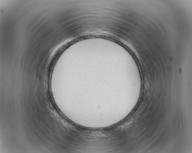 X0000086050979200704202032