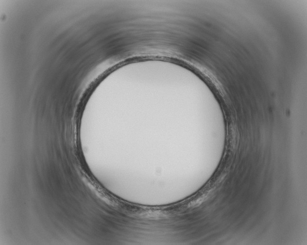 X0000086050982200704202032