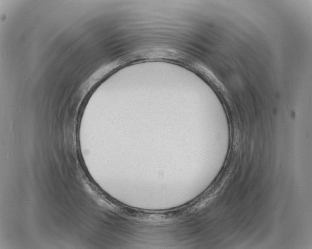 X0000086050986200704202031