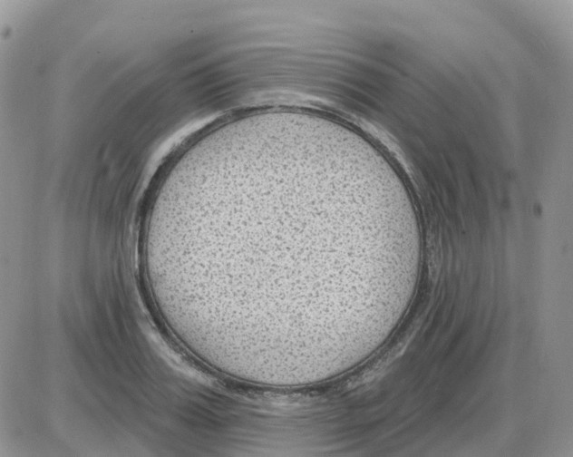 X0000086050987200704202031