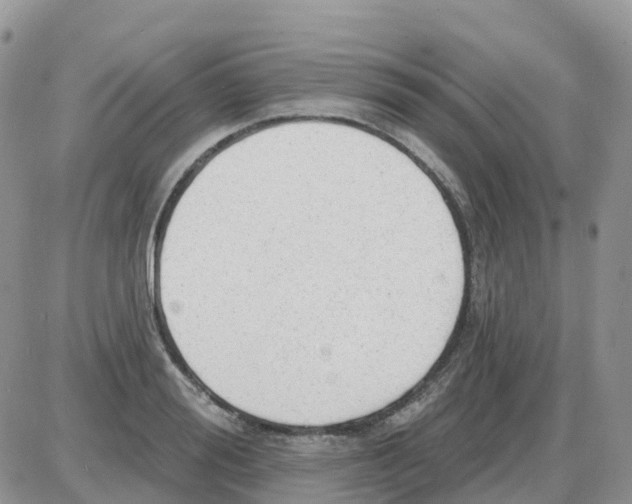 X0000086050988200704202031