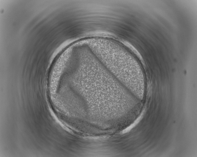 X0000086050989200704202031