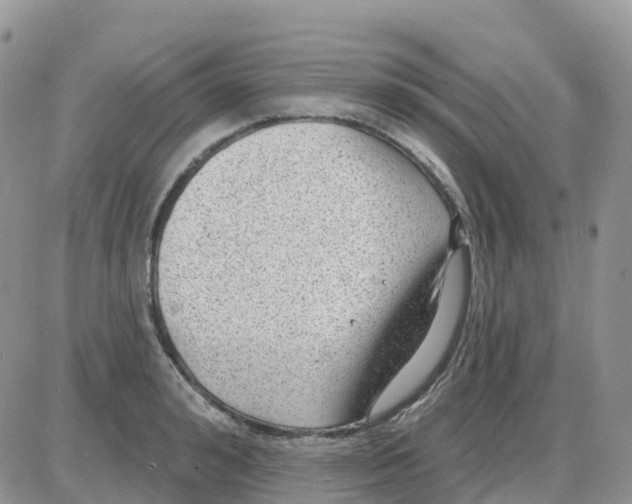 X0000086050992200704202031