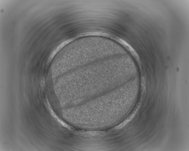 X0000086050993200704202031