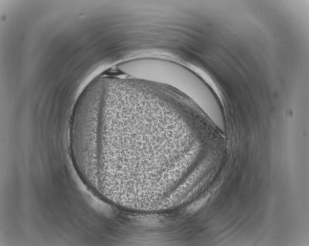 X0000086050999200704202031