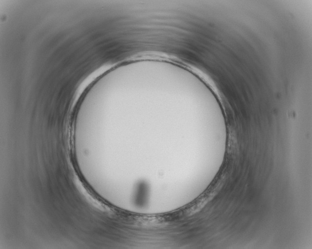 X0000086051003200704202031