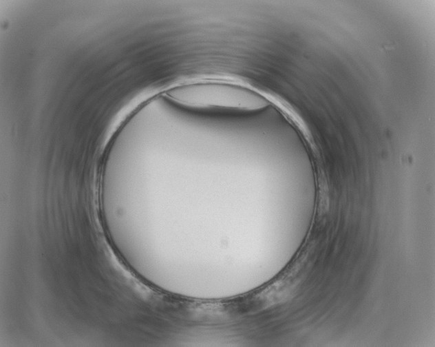 X0000086051006200704202031