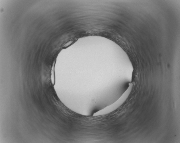 X0000086051012200704202030