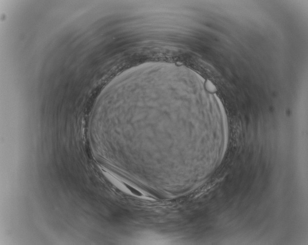 X0000086051013200704202030