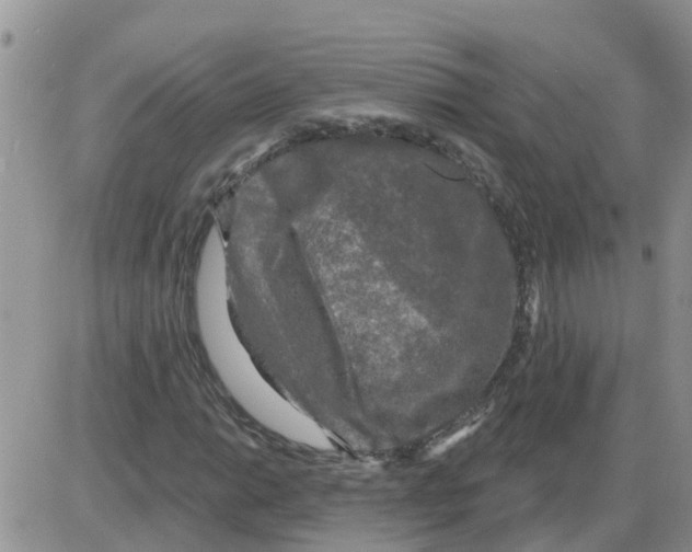 X0000086051014200704202030